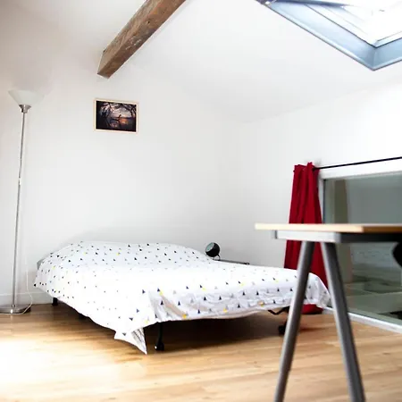 Hotel Spacious House With Garden Burdeos
